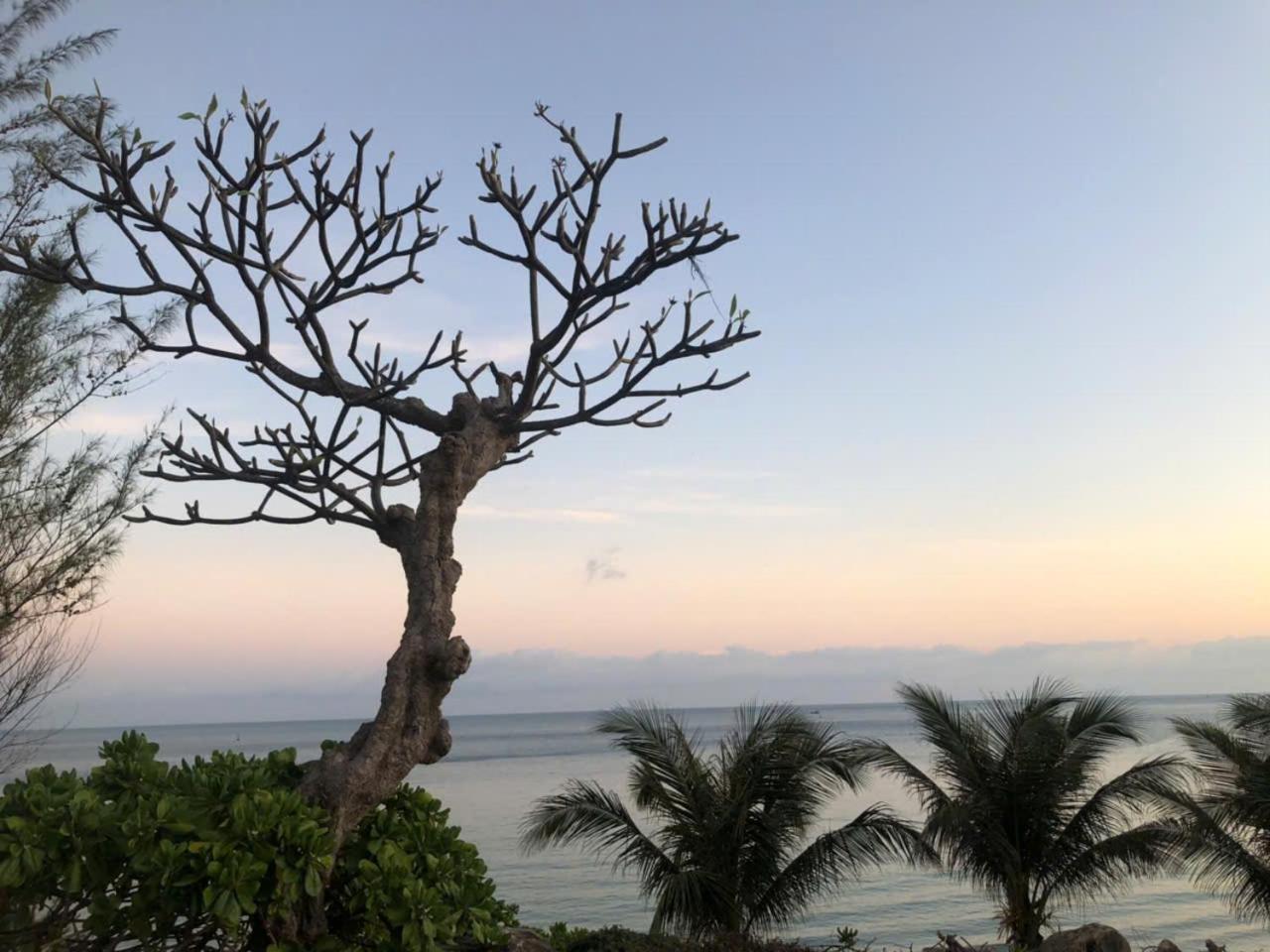 Orson Hotel & Resort Con Dao Chi Khu Co Ong Exterior foto